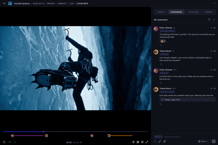 Frame-accurate video review interface with timeline comments