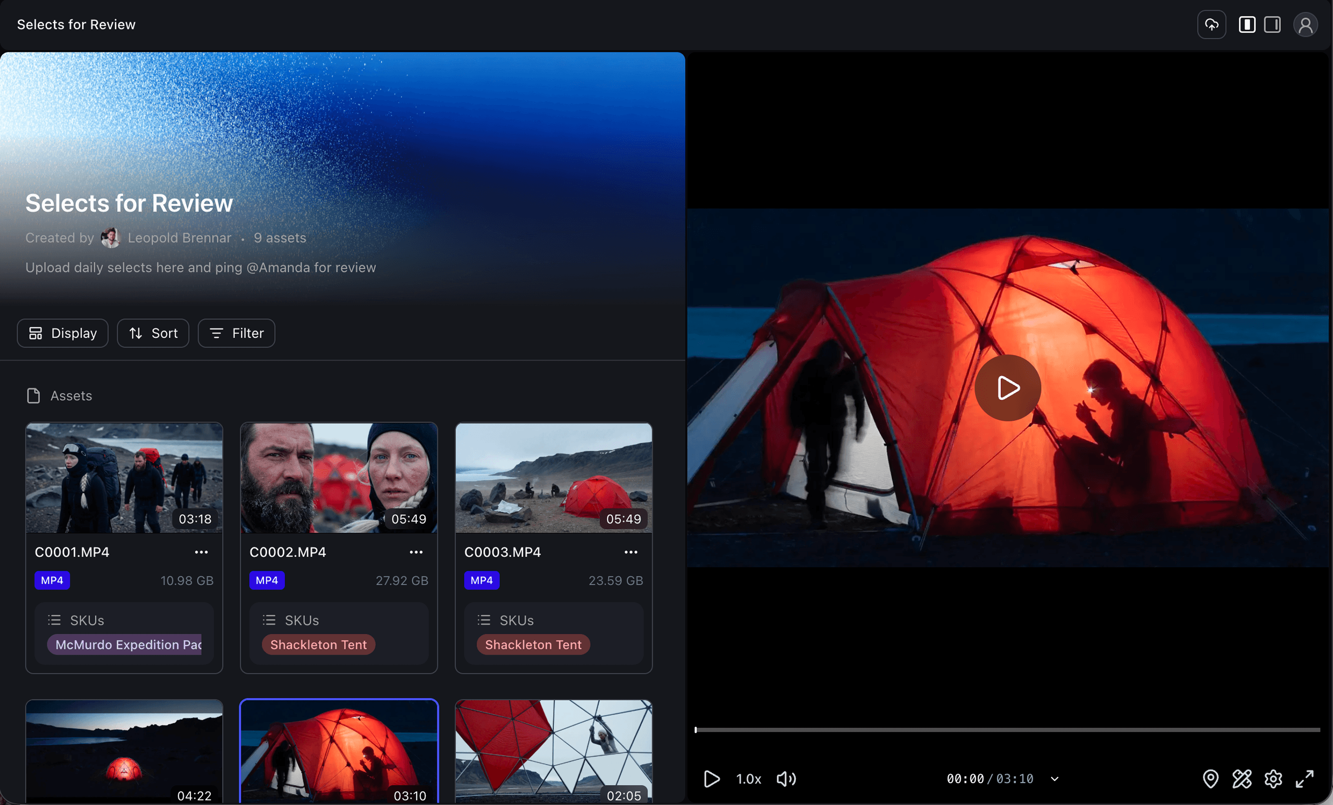 Branded collection layout with custom logo and color theme